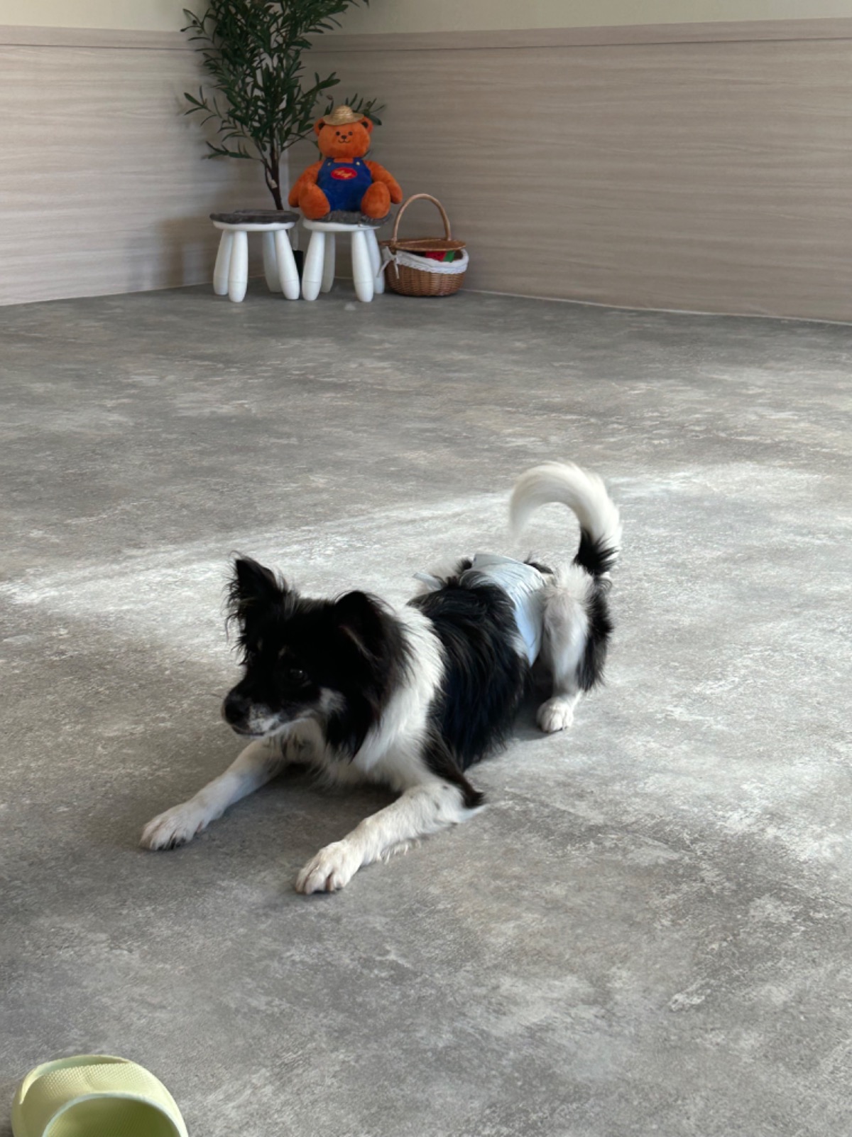 갑부네운동장 picture 6