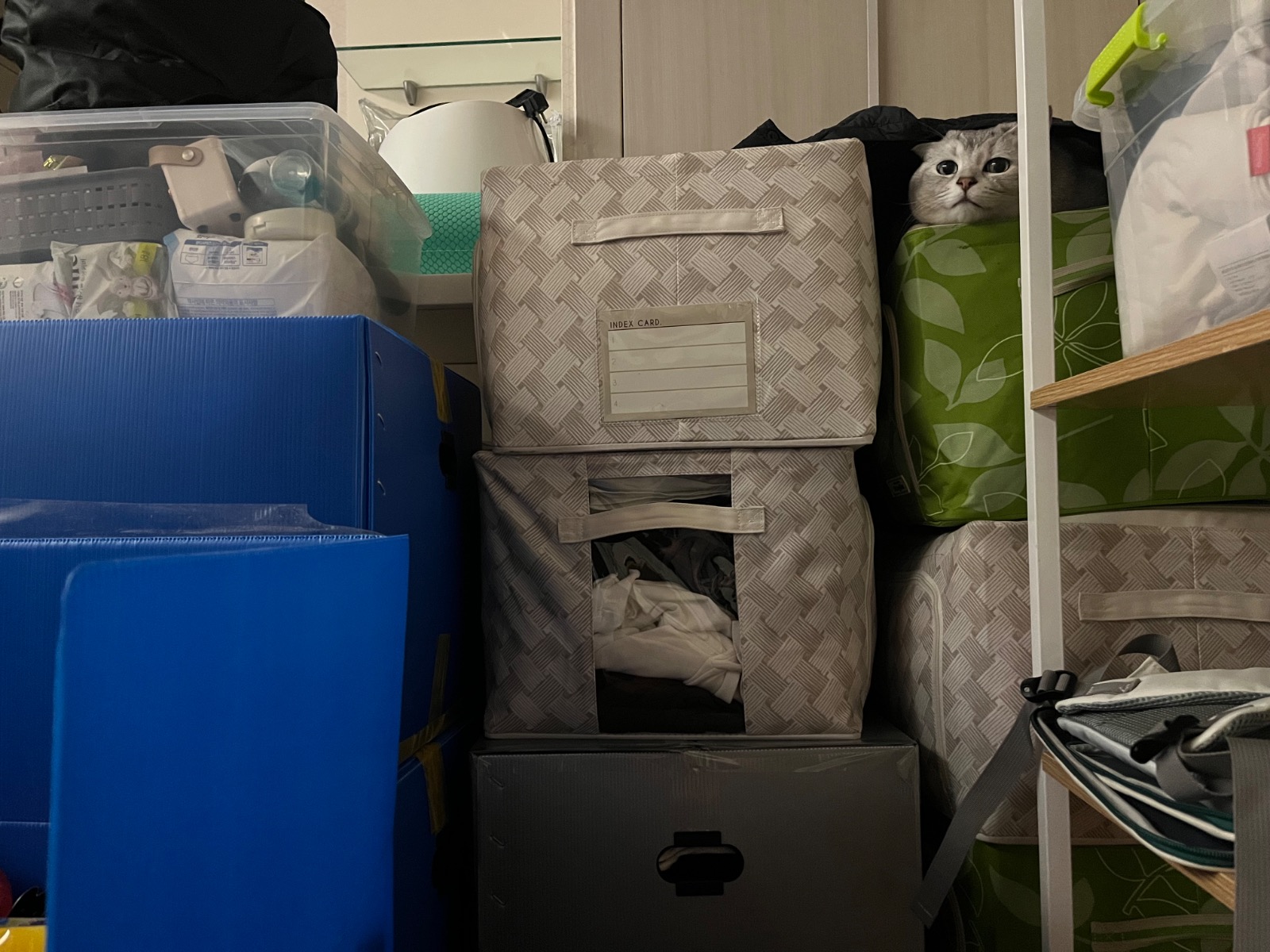 부산청년이사 picture 8