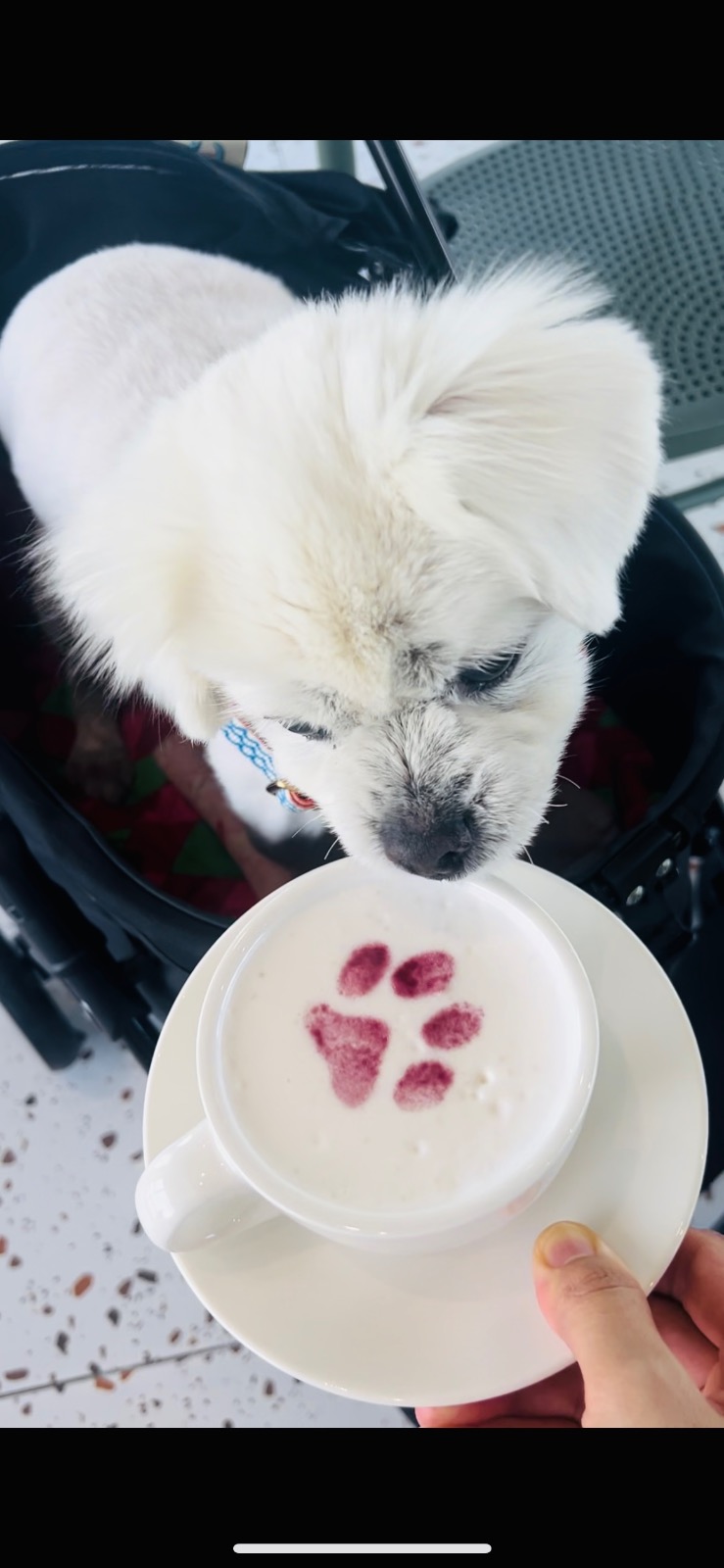 영필드