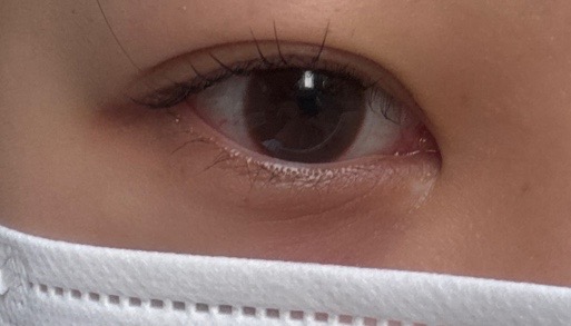 남양주 다산중앙로 손젤