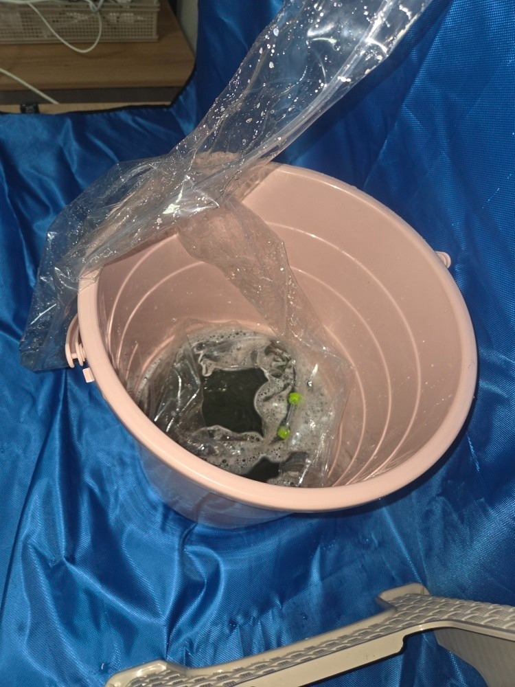 청소요정홈케어 천안서북점 picture 3