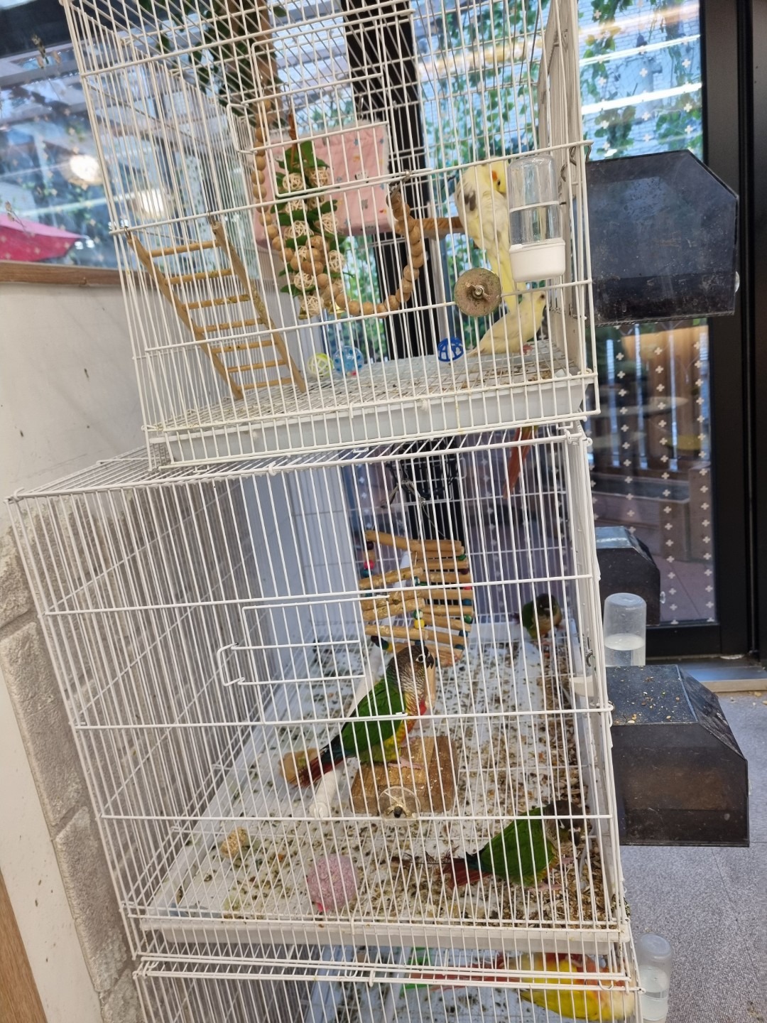 힐링코어 카페 picture 3
