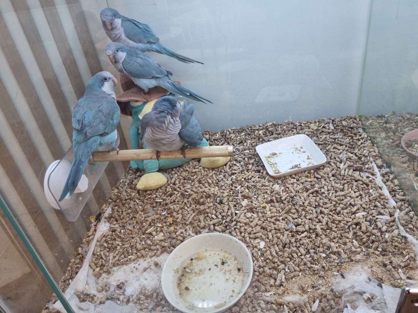 힐링코어 카페 picture 4