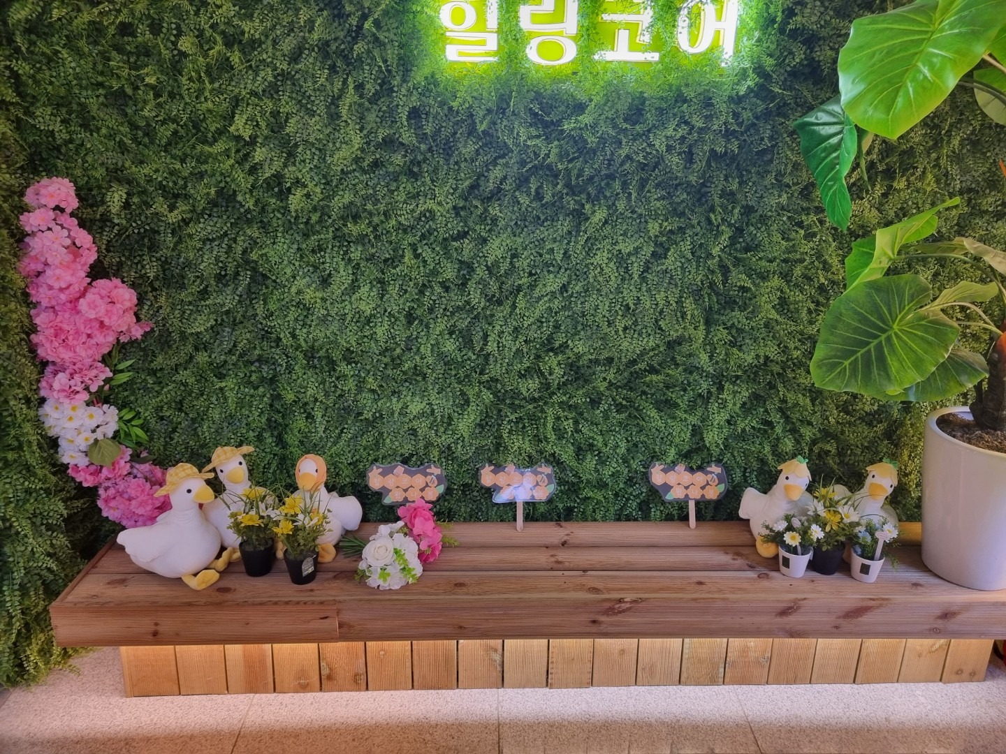 힐링코어 카페 picture 5