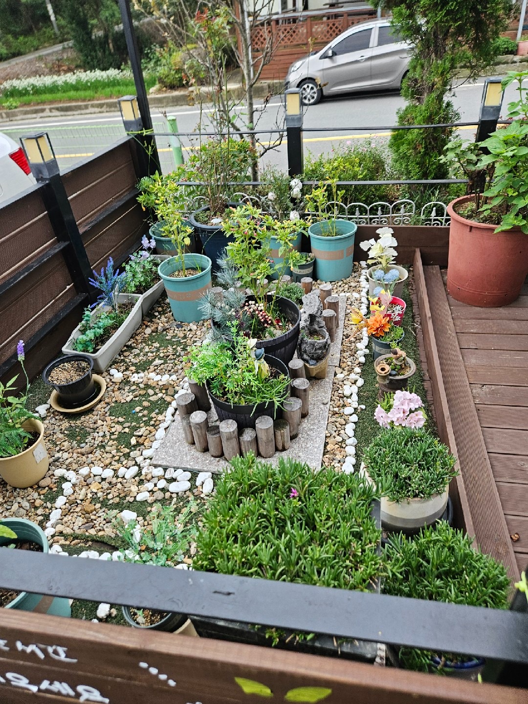 두꺼비야생화 picture 9