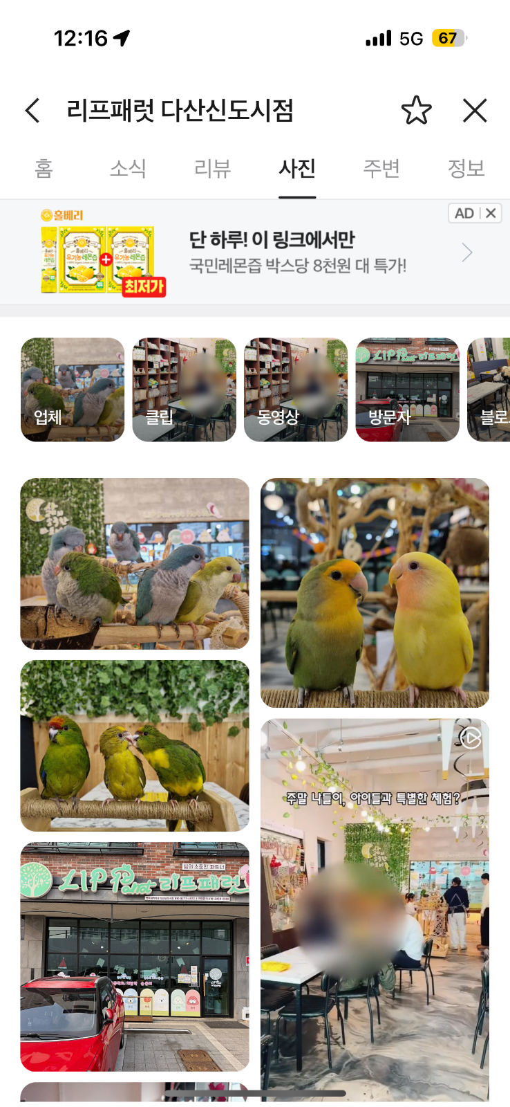리프패럿 앵무새카페  picture 9