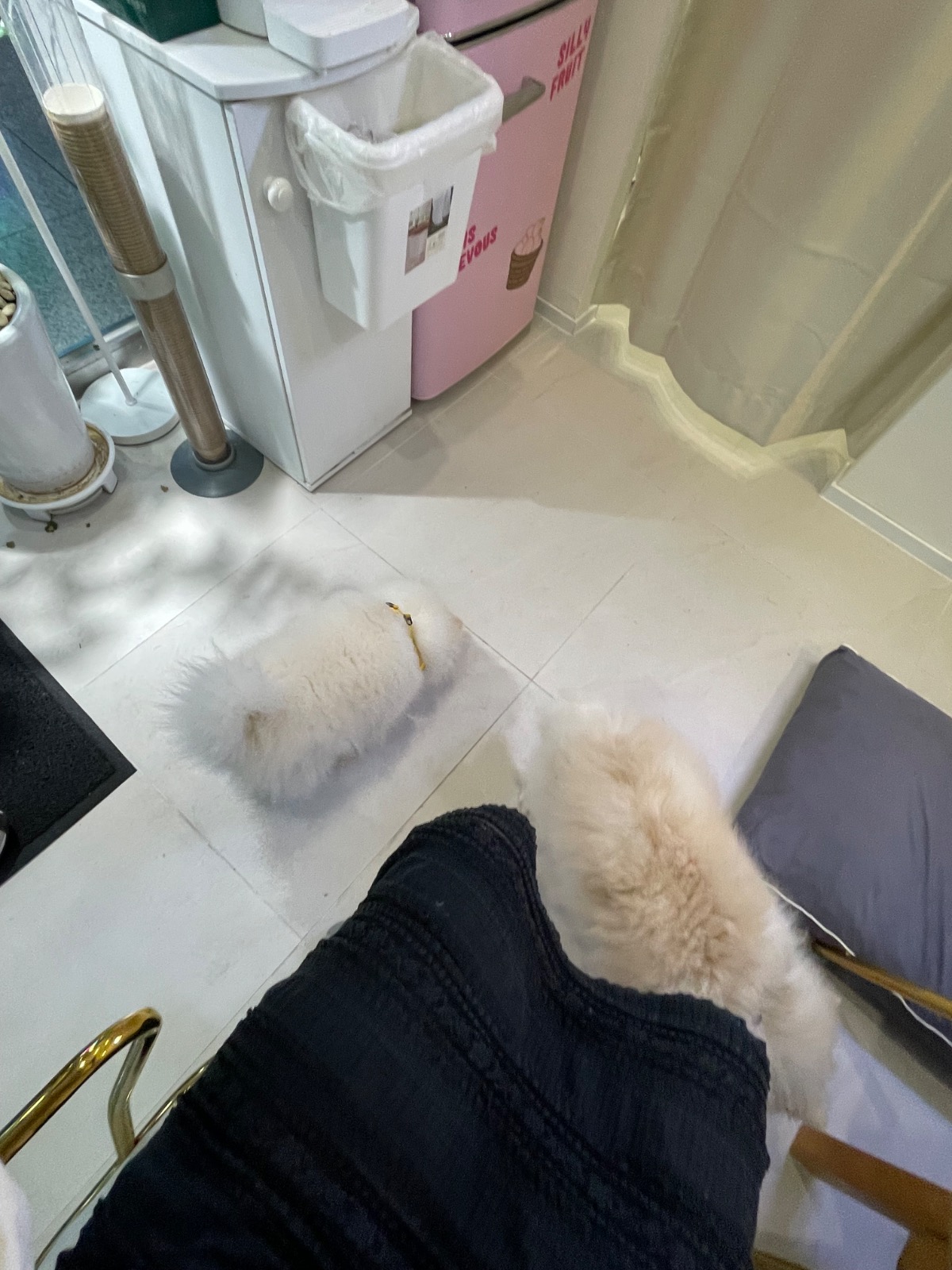 체인지뷰티 picture 5