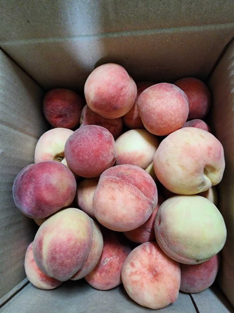 진이네농원 picture 1