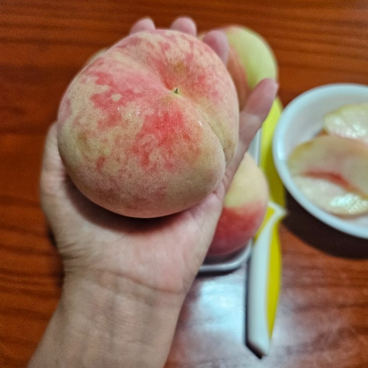 청도농원 picture 8