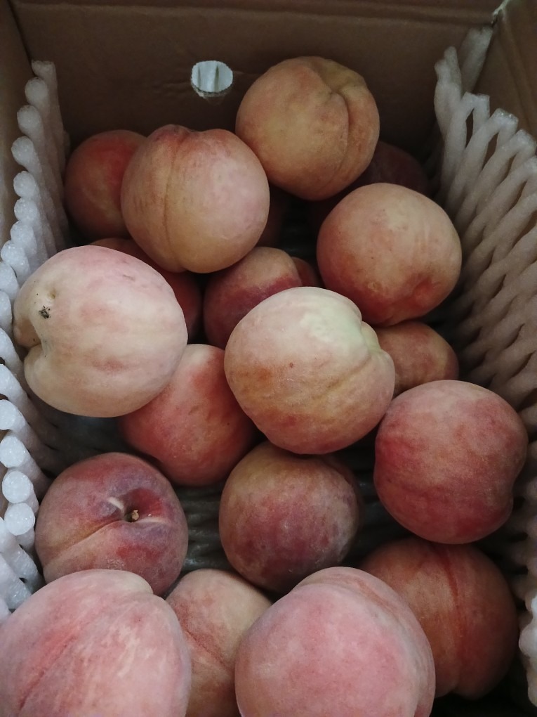 진이네농원 picture 5