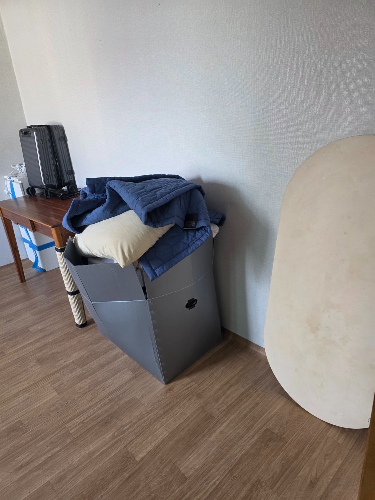 당근 마켓플레이스 작업 사진