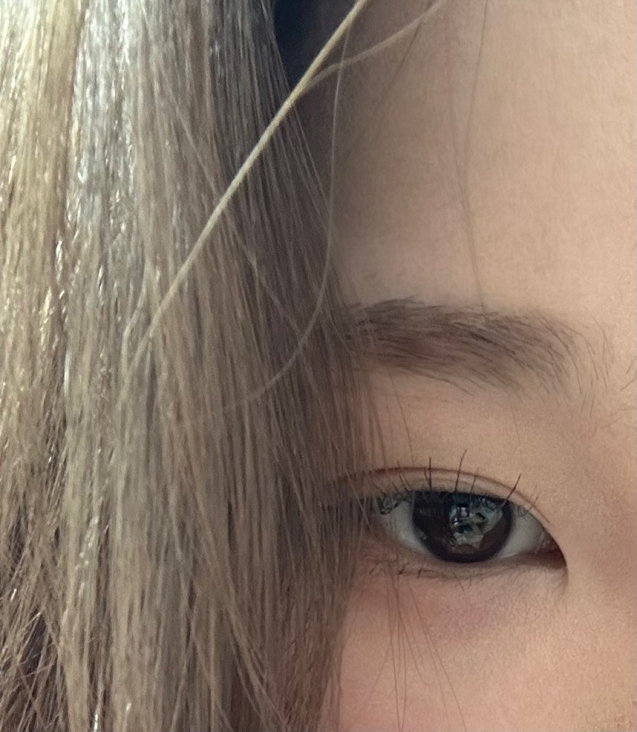 어울릭 picture 2