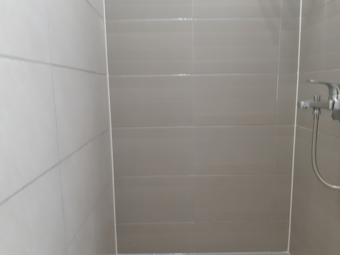 곰팡이제로연구소 picture 7