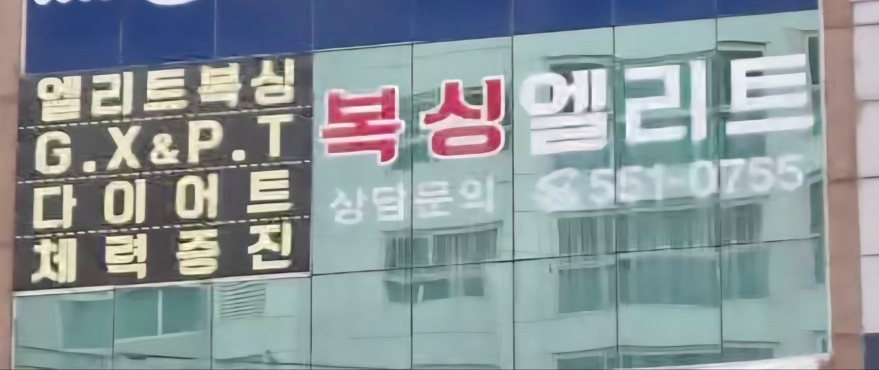 복싱엘리트