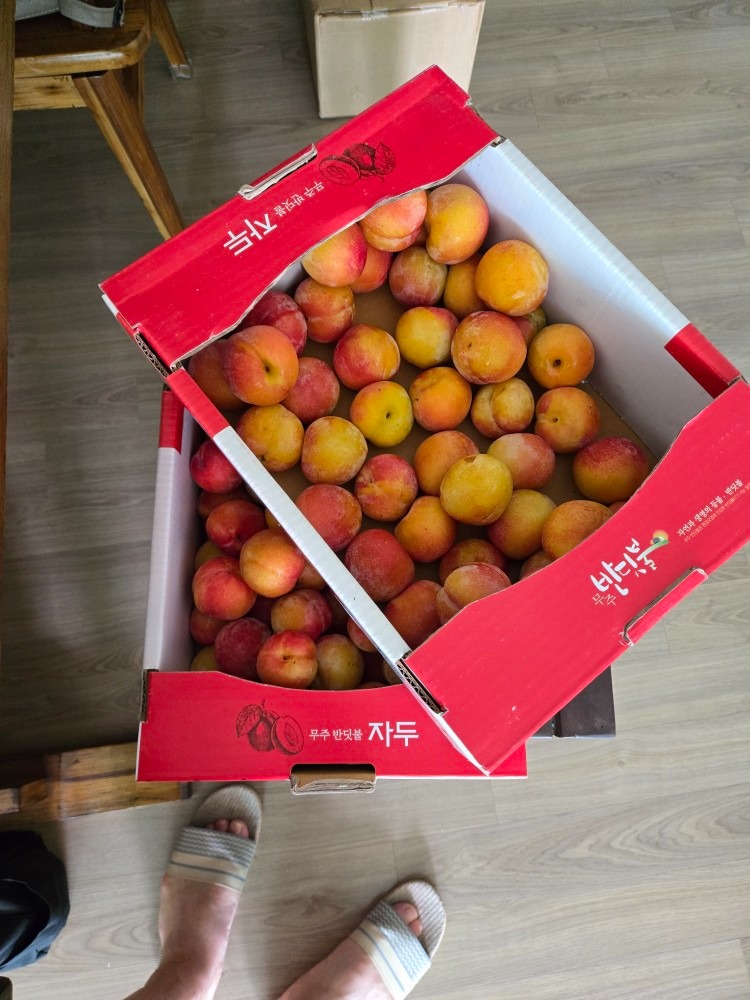 세종재래시장 picture 7