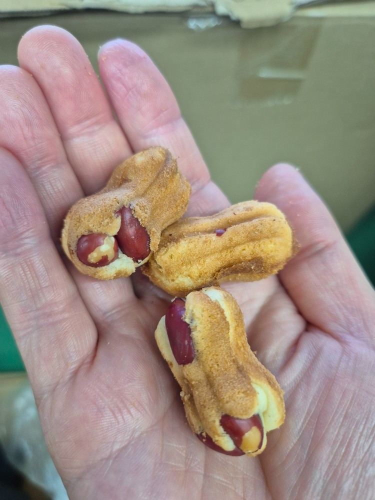 옹기종기땅콩빵 당감점 picture 5