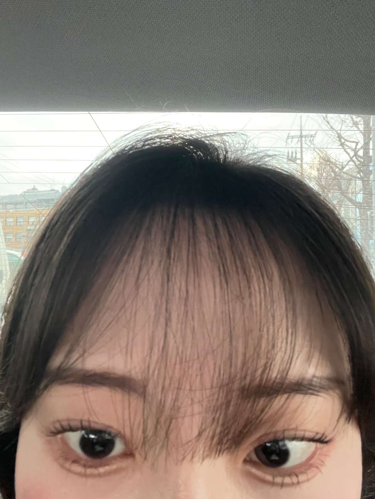 스튜디오 하놀 picture 3