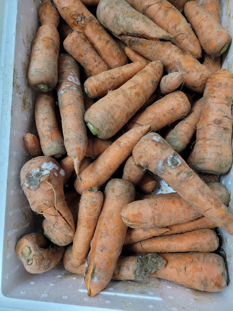 한국통합농산물 picture 2