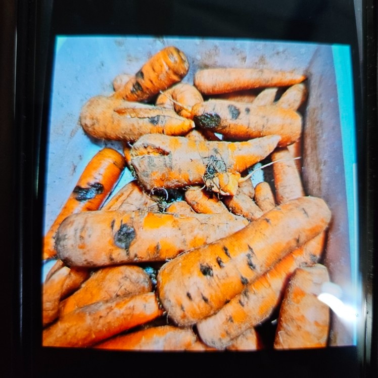 한국통합농산물 picture 3