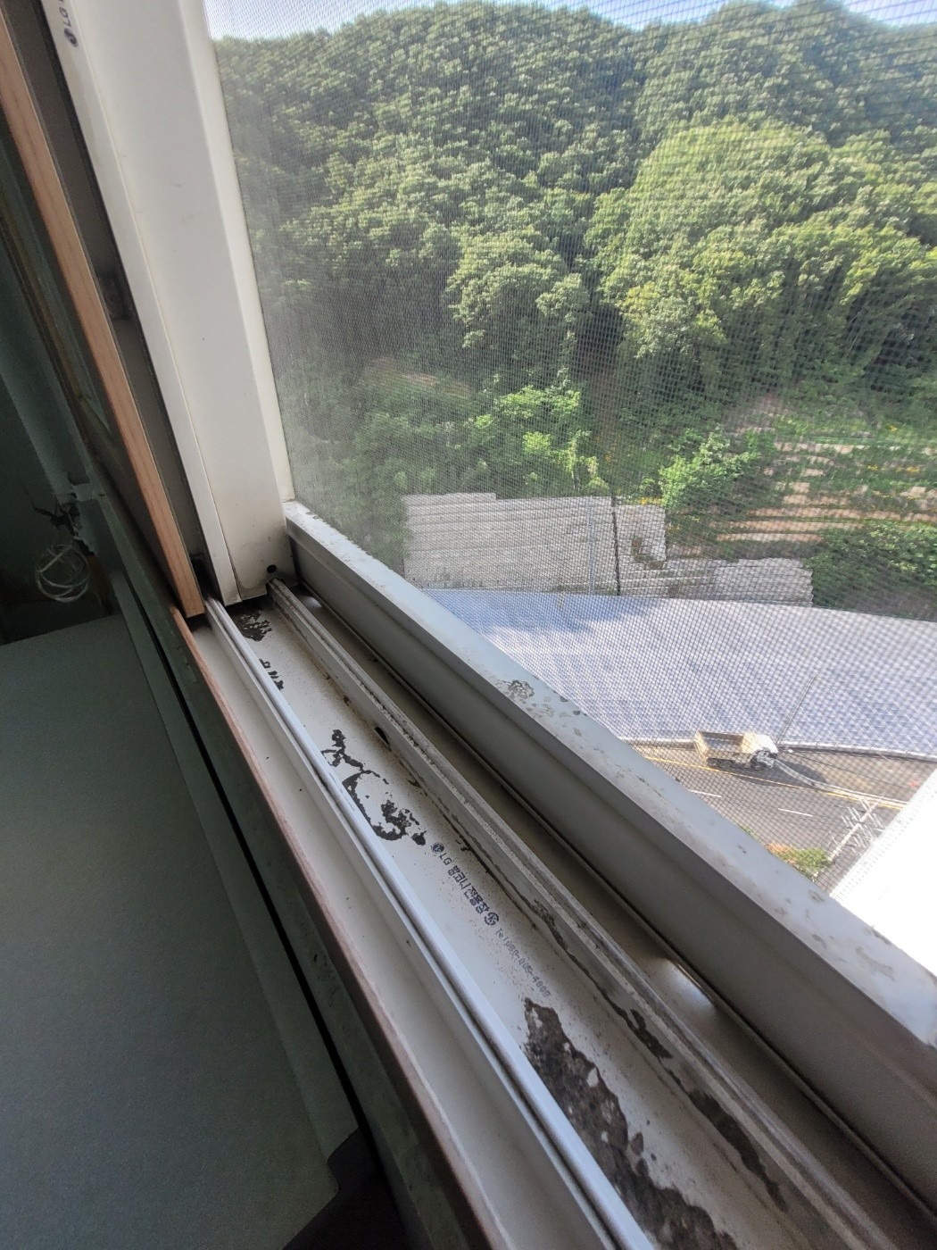 김쌩 review