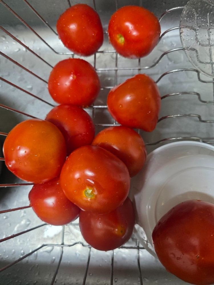 수월 토마토 농장 picture 5