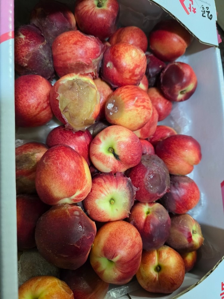 한국통합농산물 picture 4