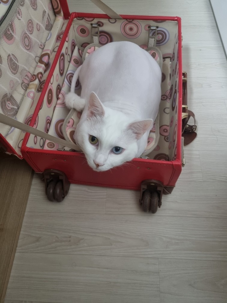 함께냥 전주점