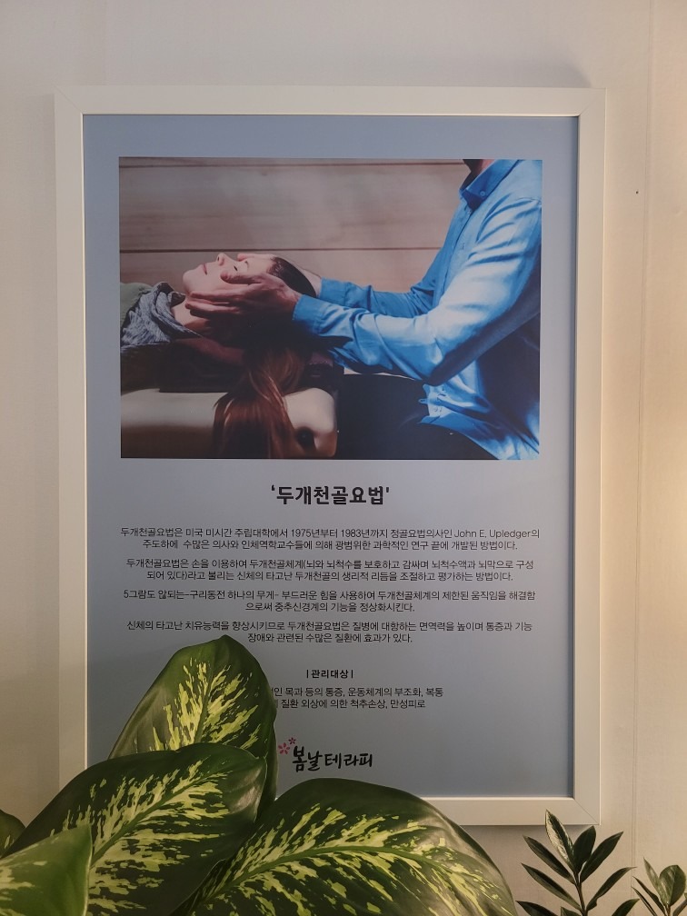 봄날테라피 picture 8