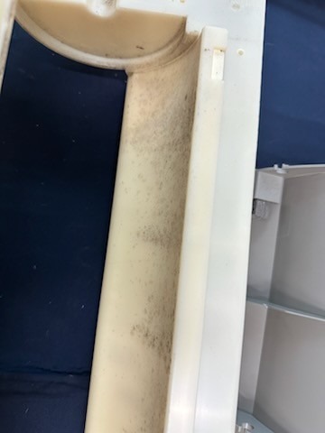 올리브 review
