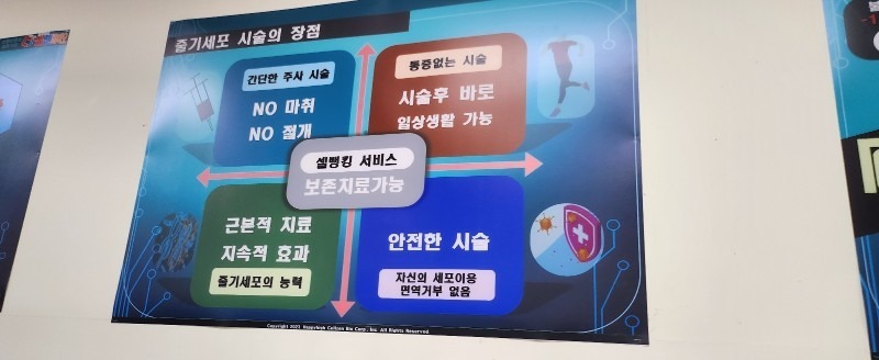 강남세포유바이오