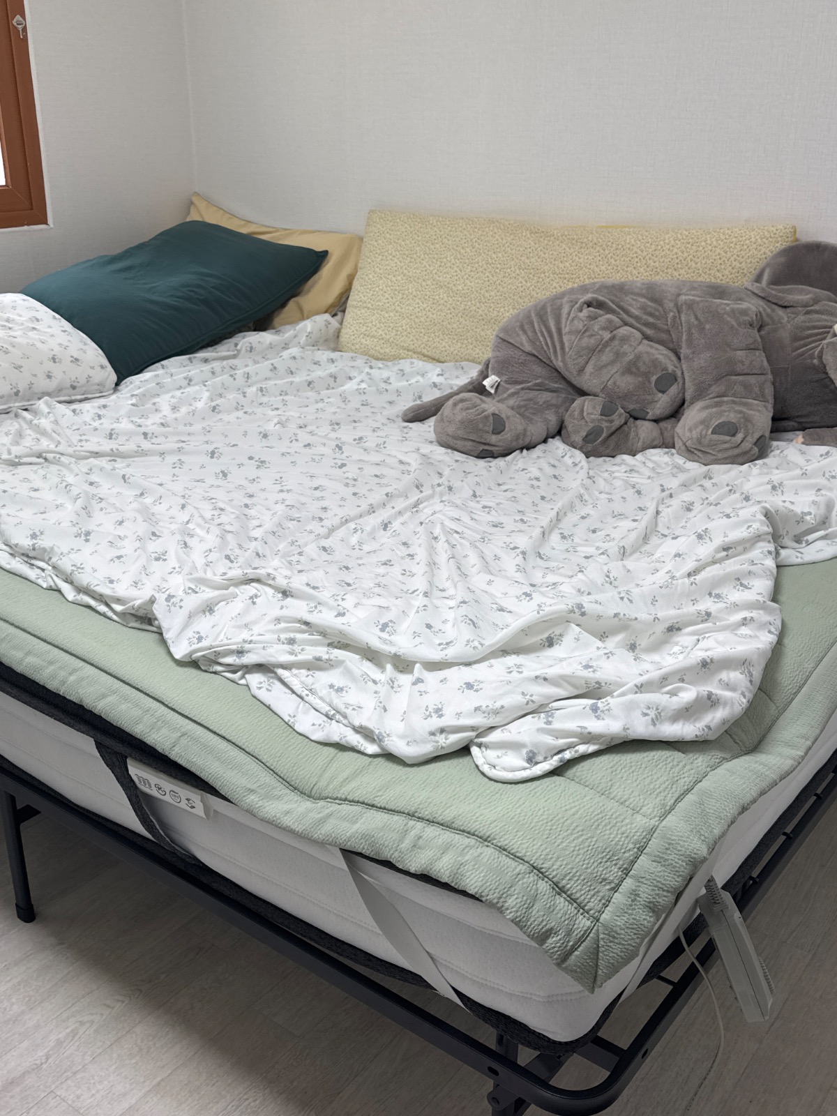 편한이사 picture 7