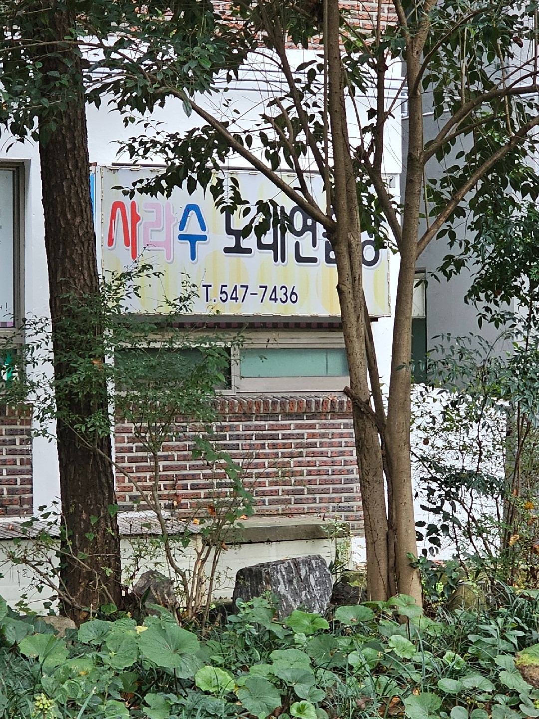 경상남도 창원시 진해구 인사동 이웃들이 자주 가는 노래방 | 당근