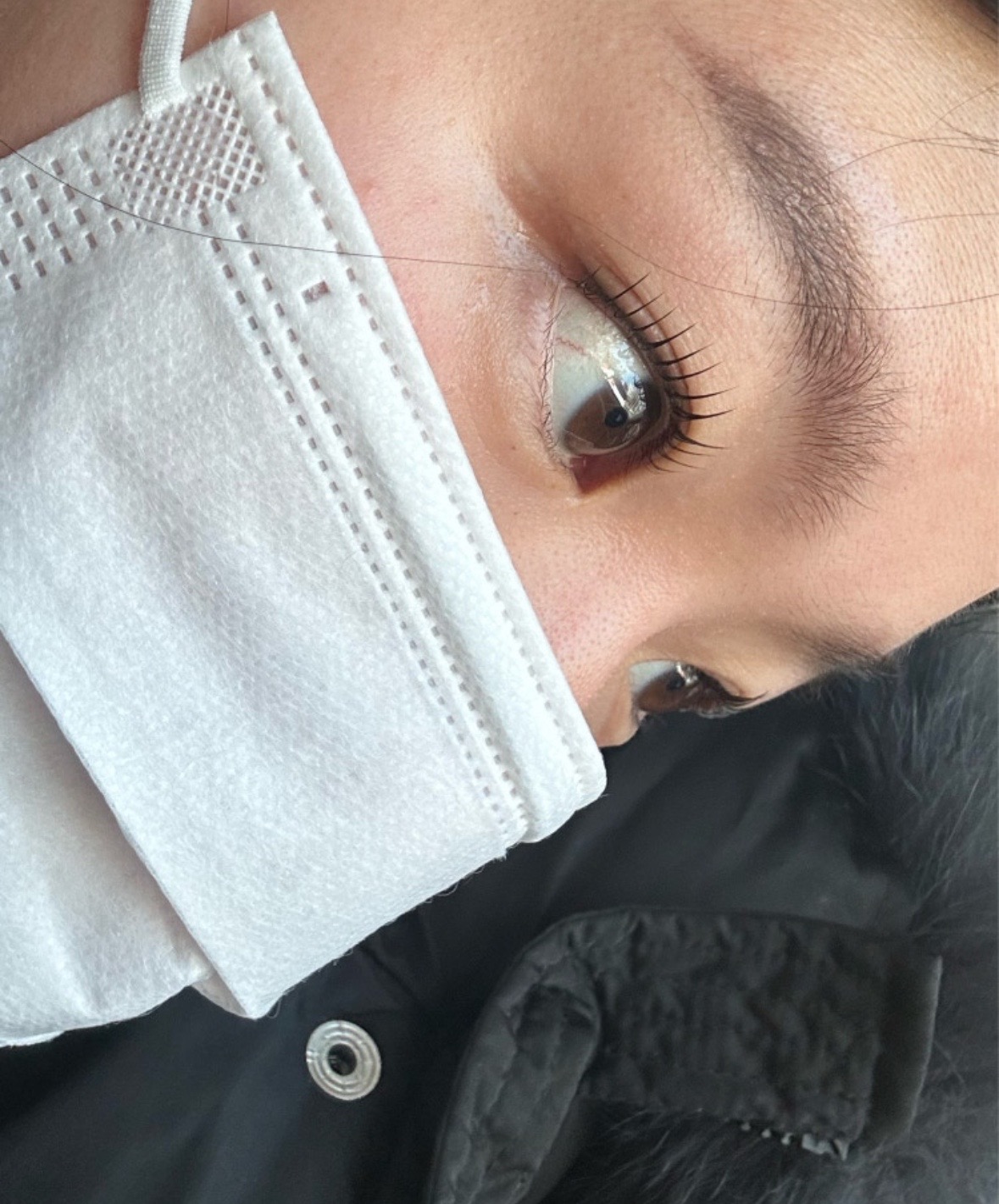 멜트브로우 picture 1