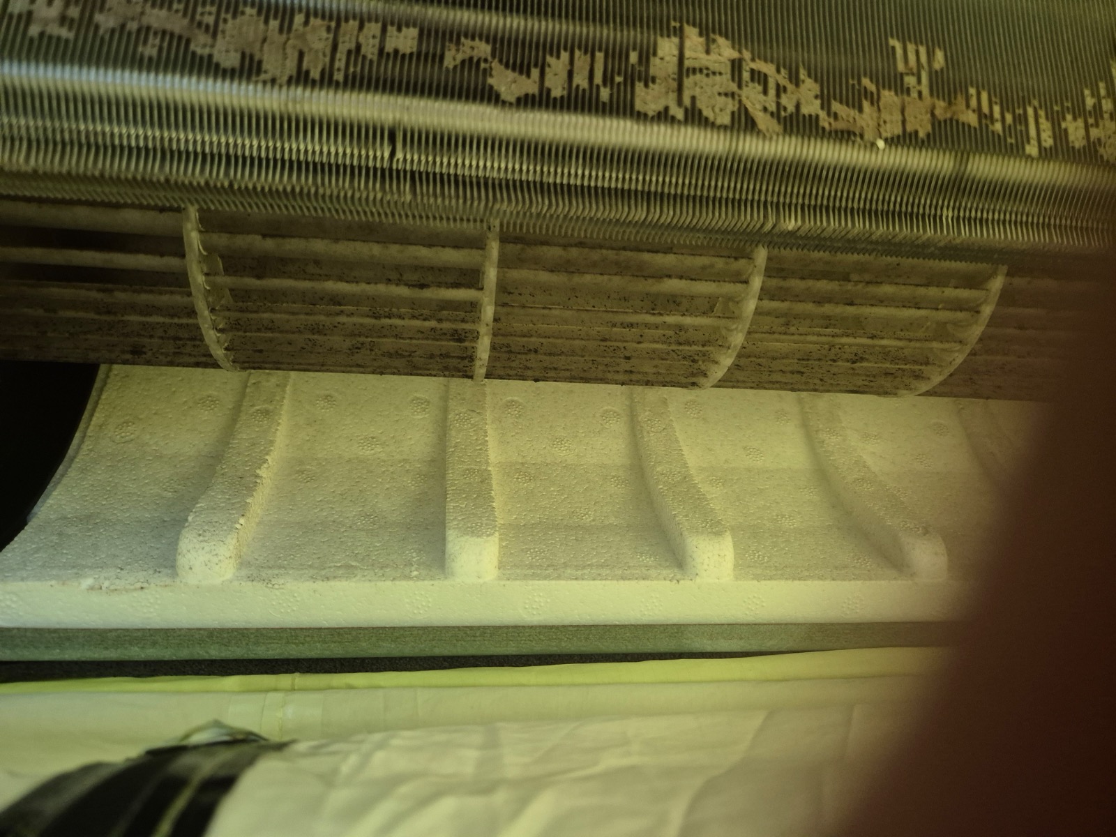 그린연구소 picture 6