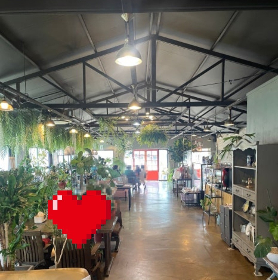 블라썸 picture 6