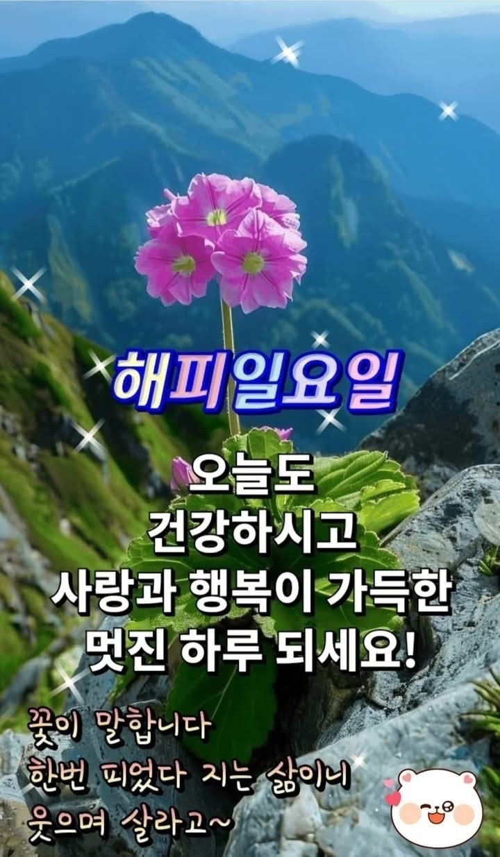 오짱 review