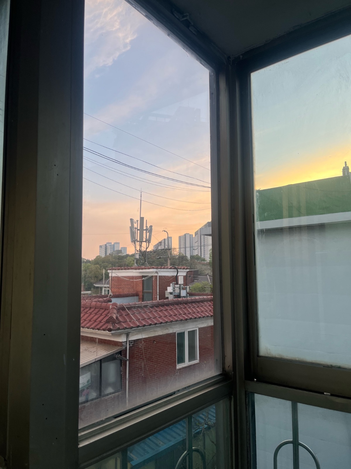 먼지없데이 picture 6