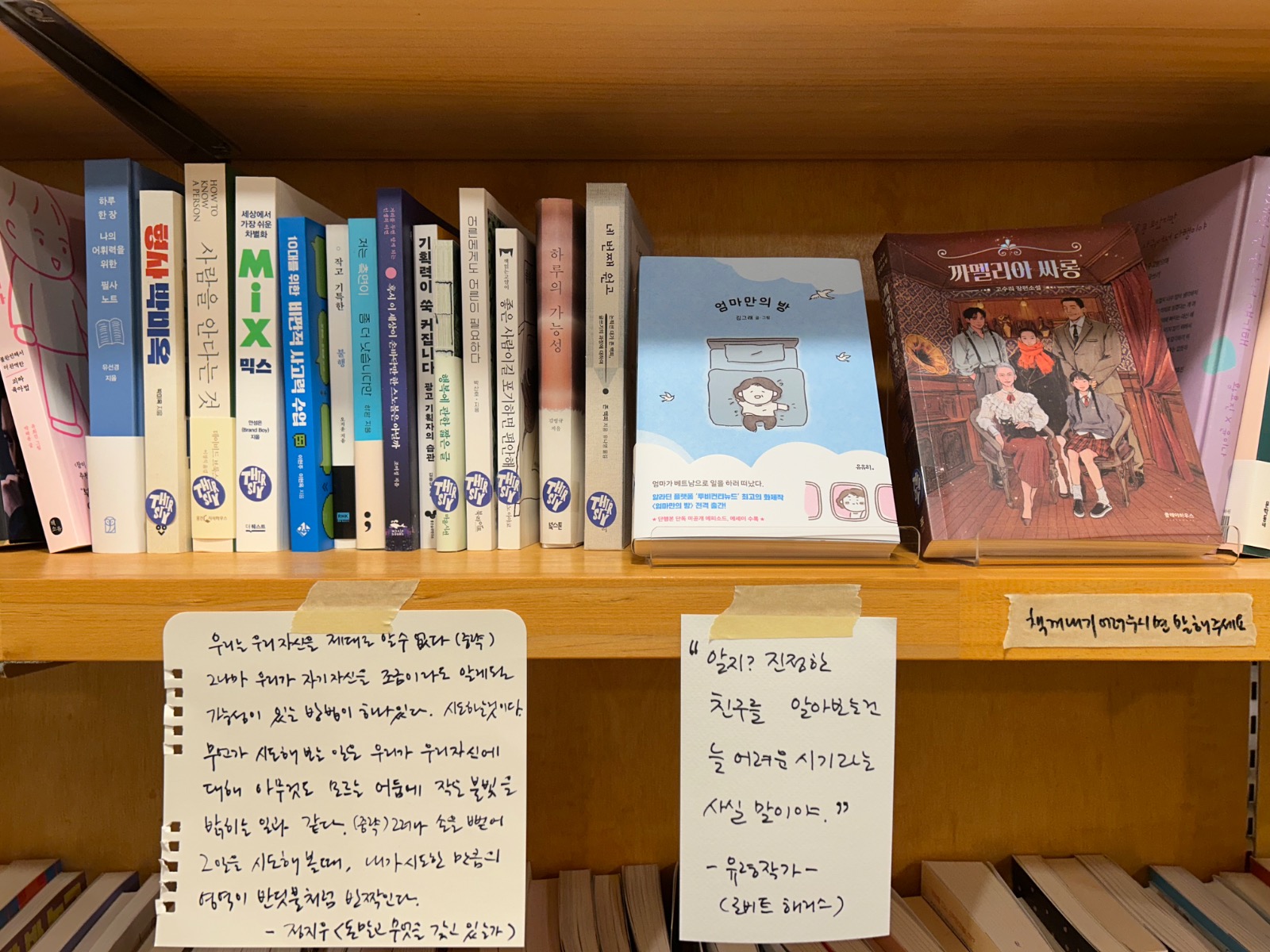 썰스티 북카페 picture 8