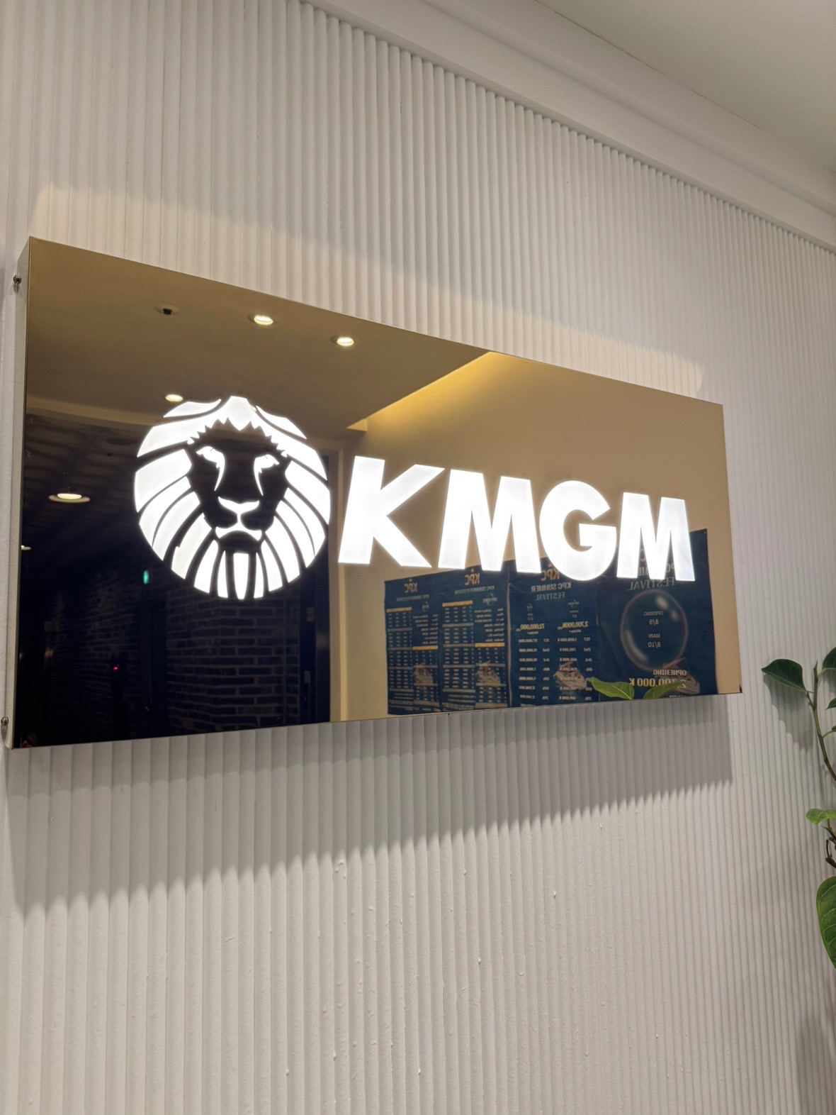 Kmgm 둔산점 홀덤펍