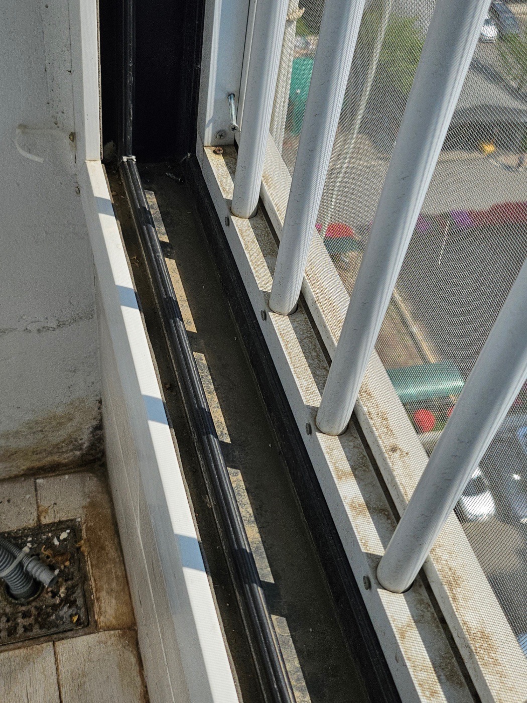 청꺼비 picture 8