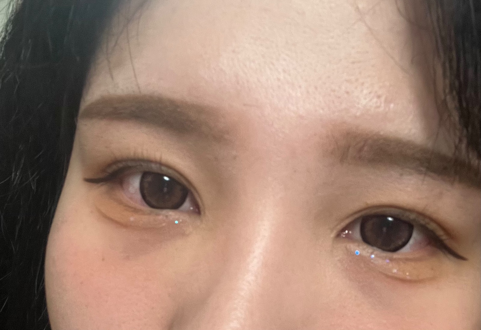 다니래쉬 picture 1