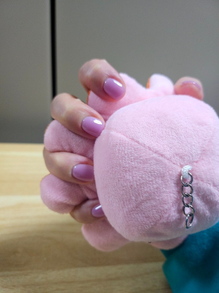 S2NAIL picture 2