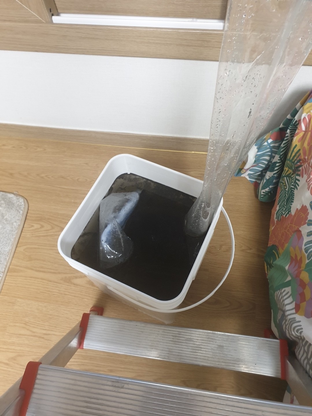 밀리언마미 picture 0