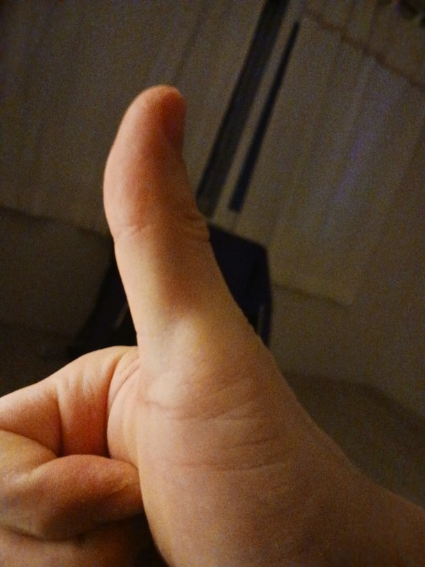 개미이사트랜스 개인용달화물 picture 2