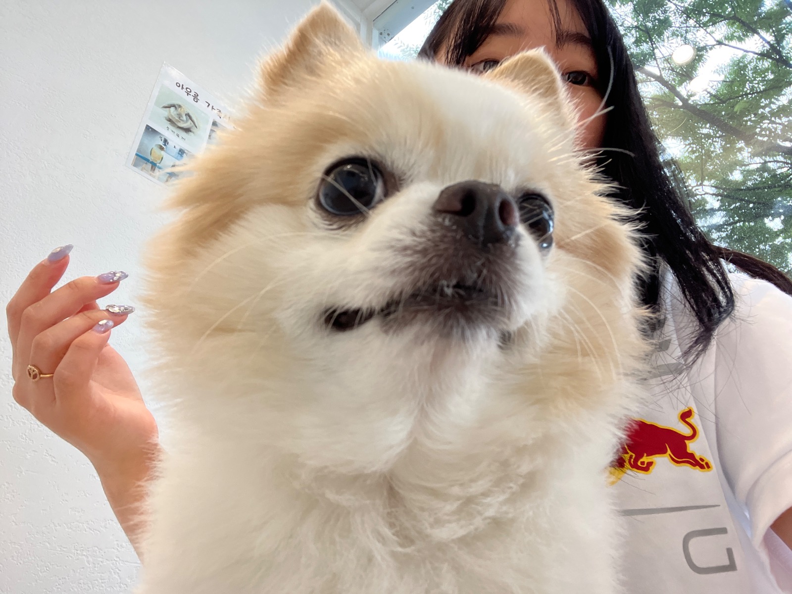 아우름동물병원 picture 5