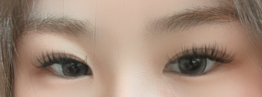 다니래쉬 picture 0