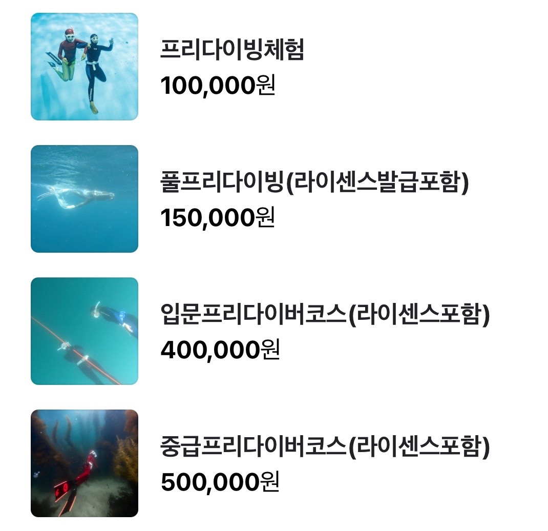 썬프리다이빙