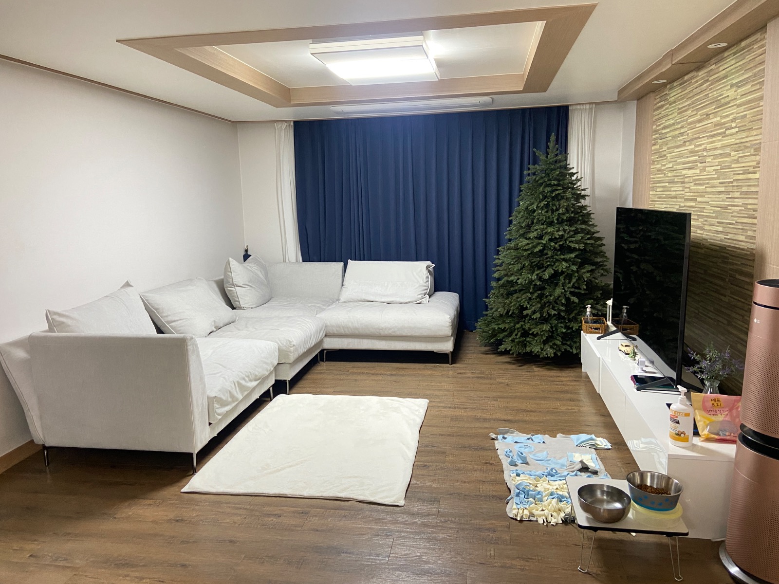 착한1톤용달 원룸이사도움 팽성읍 picture 4