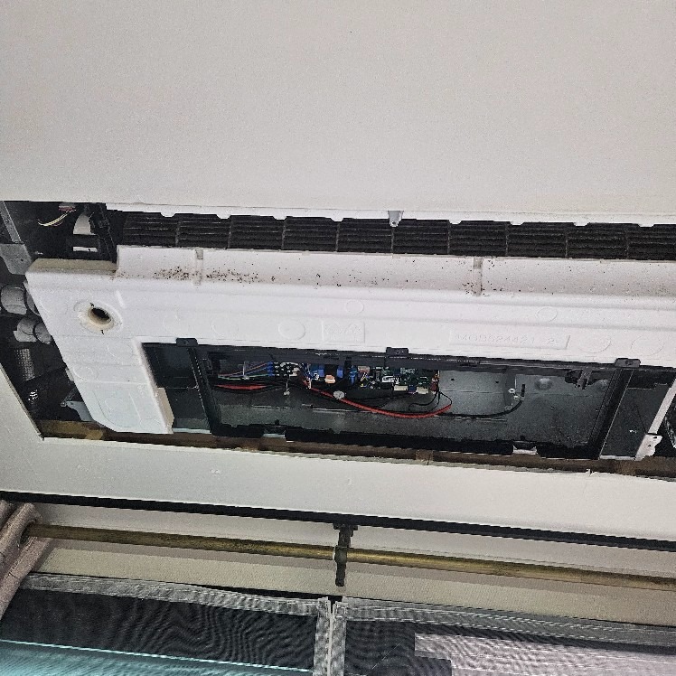 현대건장 picture 3