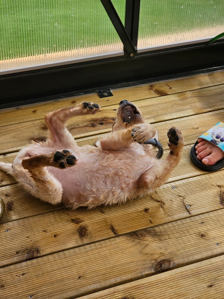 갑부네운동장 picture 8